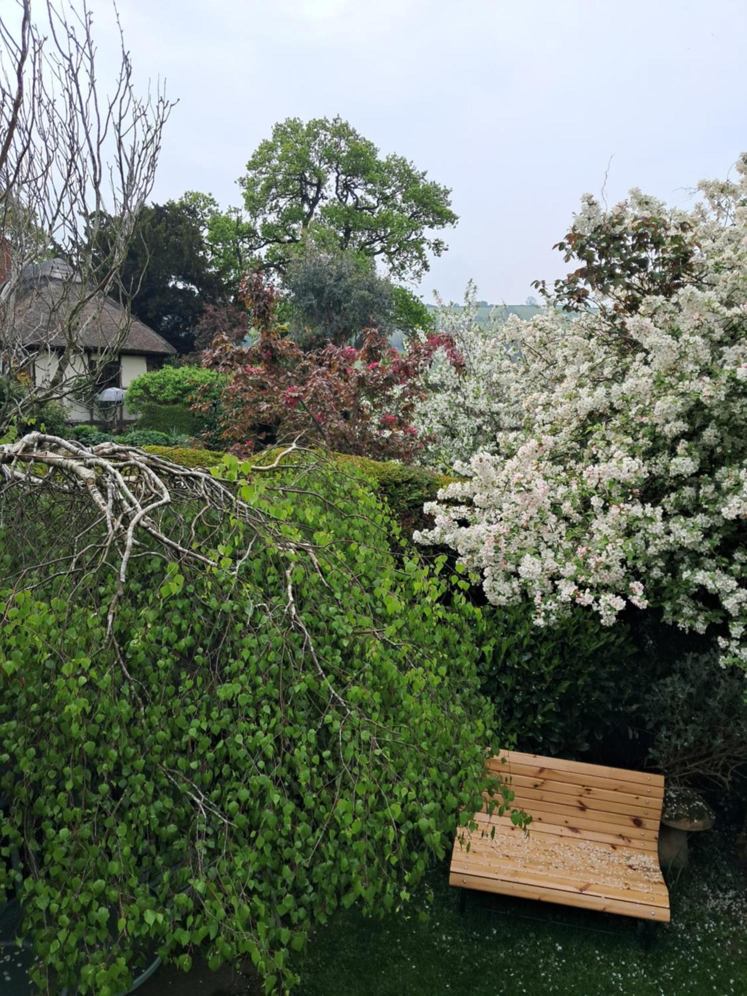 Parrs Cottage Wollaston  Zewnętrze zdjęcie